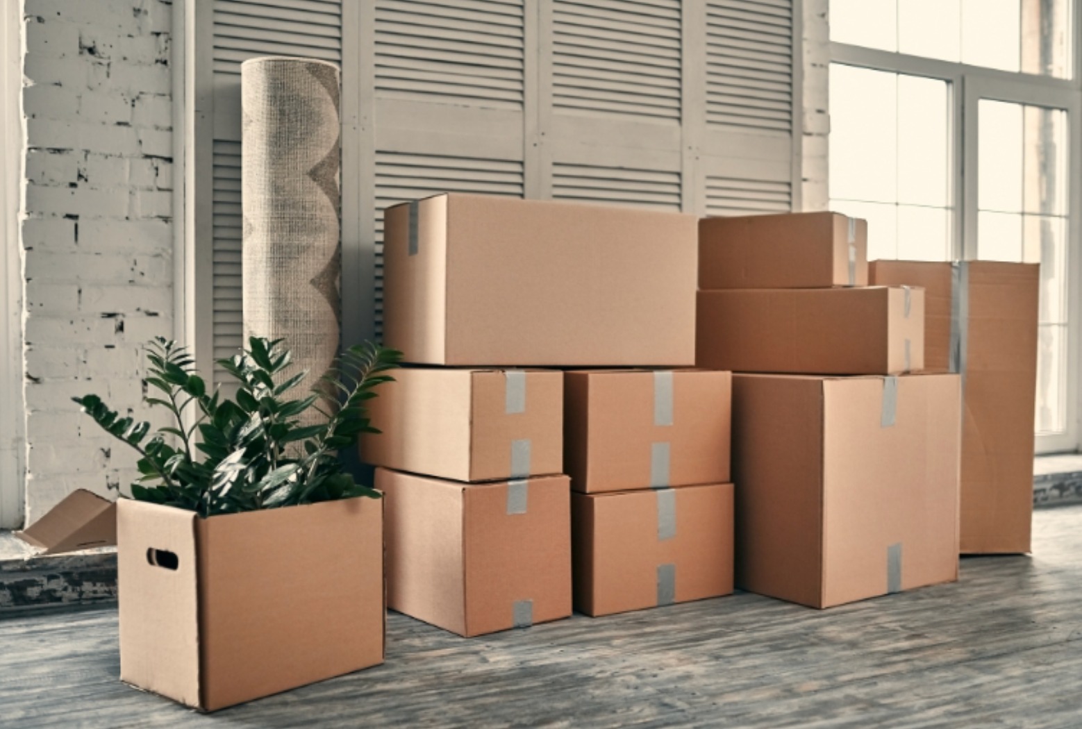 Move In Out Cleaning